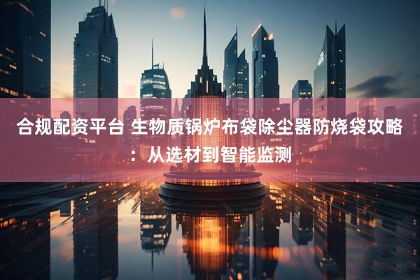 合规配资平台 生物质锅炉布袋除尘器防烧袋攻略：从选材到智能监测