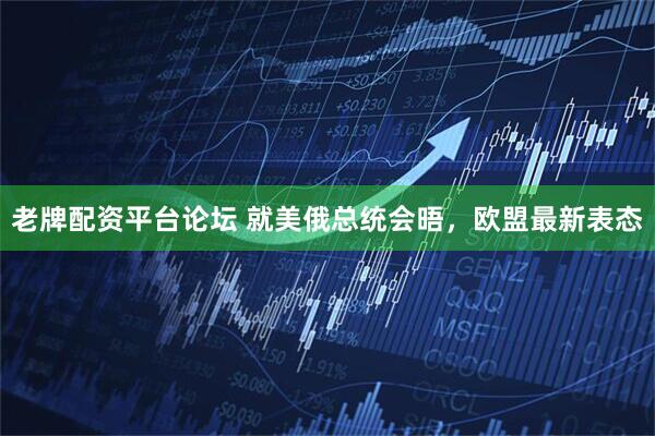 老牌配资平台论坛 就美俄总统会晤，欧盟最新表态